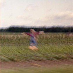 Solitary Dancer - Reveries Of A Solitary Dancer (2020) [EP]