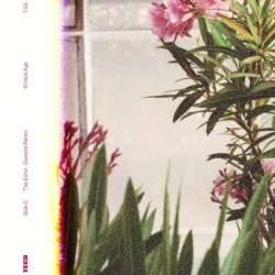 TEED - The Echo (Durante Remix) (2026) [Single]