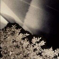 Mikkelsen Mati - Ninguna Persona Real Involucrada (2026) [EP]