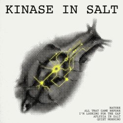 Starfall - Kinase In Salt (2026) [EP]