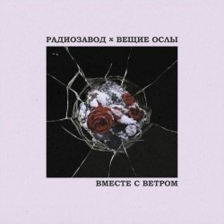 Радиозавод - Вместе С Ветром (2025) [Single]