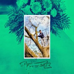 Fir Cone Children - Forever (2026) [Single]