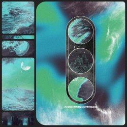 Mellow Fields - Lost Perceptions (2026) [Single]