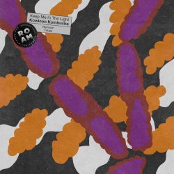 Keep Me In The Light - Kowloon Kombucha (2026) [EP]