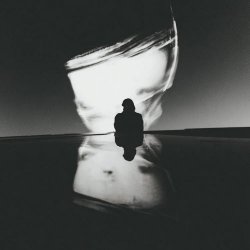 Social Order - Say It (2026) [Single]