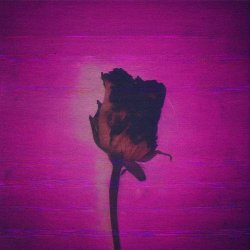 Sugar Rody - Middle East Nights Remixes (2026) [EP]
