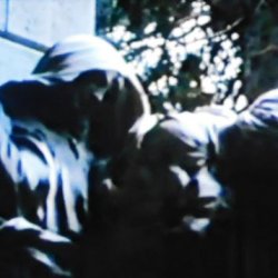 Carpocrates - Wisdom Scorned (2026) [Single]
