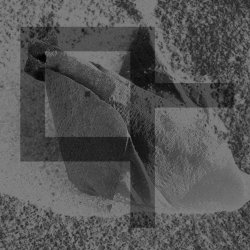 Decline And Fall - Everywhere Is Nowhere (2026) [Single]