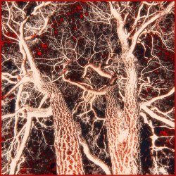 Drab Delusion - Root Rot (2026) [Single Remastered]
