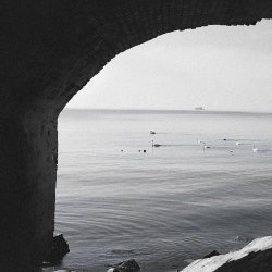 Blind Seagull - Edge (Trouble Concept Remix) (2026) [Single]