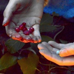 Oslo Twins - Circe (2022) [Single]