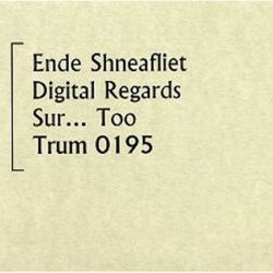 Ende Shneafliet - Digital Regards Sur... Too (1999)