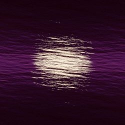 Indigo - Dreams (2026)
