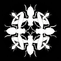 Mani Festo - Hunterr (2024) [EP]