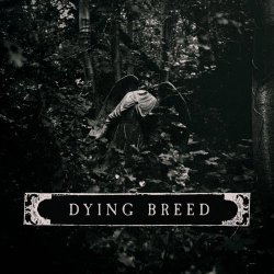 Malice In Wonderland - Dying Breed (2026) [Single]