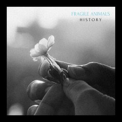Fragile Animals - History (2026) [Single]