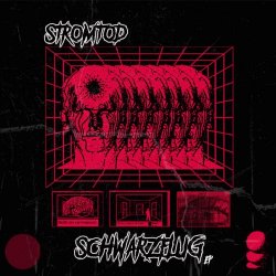 Stromtod - Schwarzflug (2021) [Single]