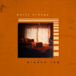 Bleach Lab - Burnt Orange (2020) [Single]