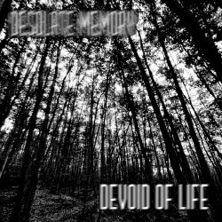 Desolate Memory - Devoid Of Life (2026)