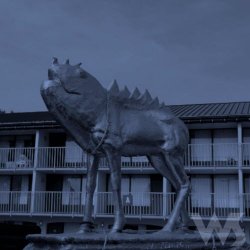 A Place Both Wonderful And Strange - The City Smells Like Cat Spit (2018) [EP]