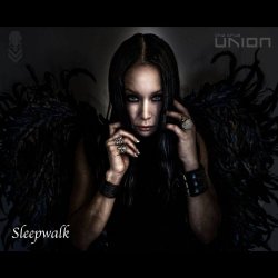 The True Union - Sleepwalk (2026)