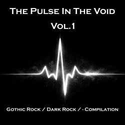 VA - Pulse In The Void Vol. 1 (2026)