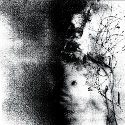 Desolation Colony - A Rapture Of Blooming Revenge (2025)