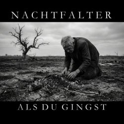 Nachtfalter - Als Du Gingst (2026) [Single]