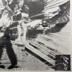 Torn Hawk - Weedwackers (2026) [EP]