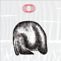 Zaliva-D - 好奇 Curiosity (2026)