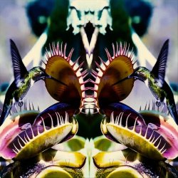 The Mirrors - Ambrosia (2026) [EP]