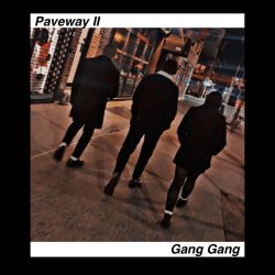 Paveway II - Gang Gang (2026) [Single]