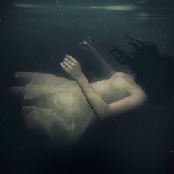 Violet Thrones - Dance Of Infinity (2025) [Single]