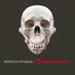 Dzelzs Vilks - Perfekta Rītdiena (2015)