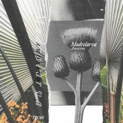 Madrelarva - Amorino (2021)