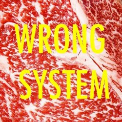 Tronik Youth - Wrong System (2024) [Single]