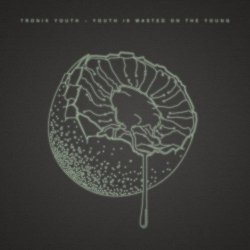 Tronik Youth - Youth Is Wasted On The Young (2015)