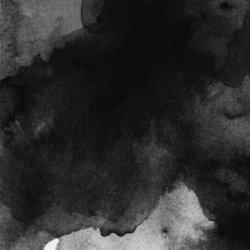 Poladroid - Wehrwolf (2022)