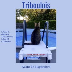 Triboulois - Avant De Disparaître (2021) [EP]