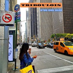 Triboulois - D'un Ciel Bleu (2023)