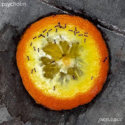 Psycholm - Penance (2026) [EP]
