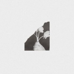 White Flowers - Day By Day Remixes (2022) [Single]