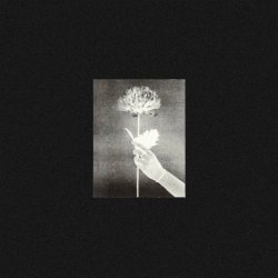 White Flowers - Day By Day (2021)