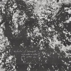 White Flowers - Underwater/'til I Die (2021) [Single]
