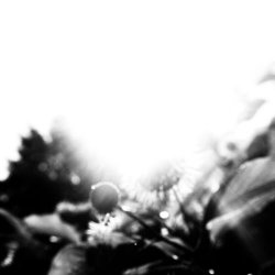 Keep Breathing - Illusion (2024) [Single]