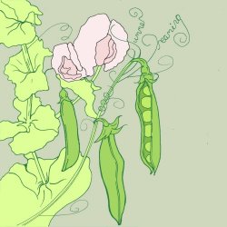 MothBreath - Summer Dreaming (2026) [EP]