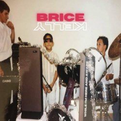 Brice Kelly - While I'm Here And Aware (2022)