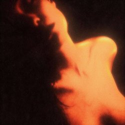 Teaching In Trips - Dusk (2026) [Single]