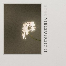 Steintor Herrenchor - Vielzubreit 2 (2022) [Single]