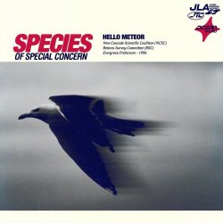 Hello Meteor - Species Of Special Concern (2026)